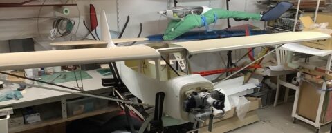 look, I've got wings!